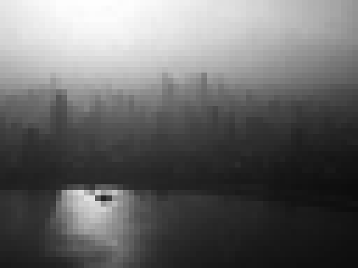 The exact 64 by 48 grey view shown to the fly for Zundago